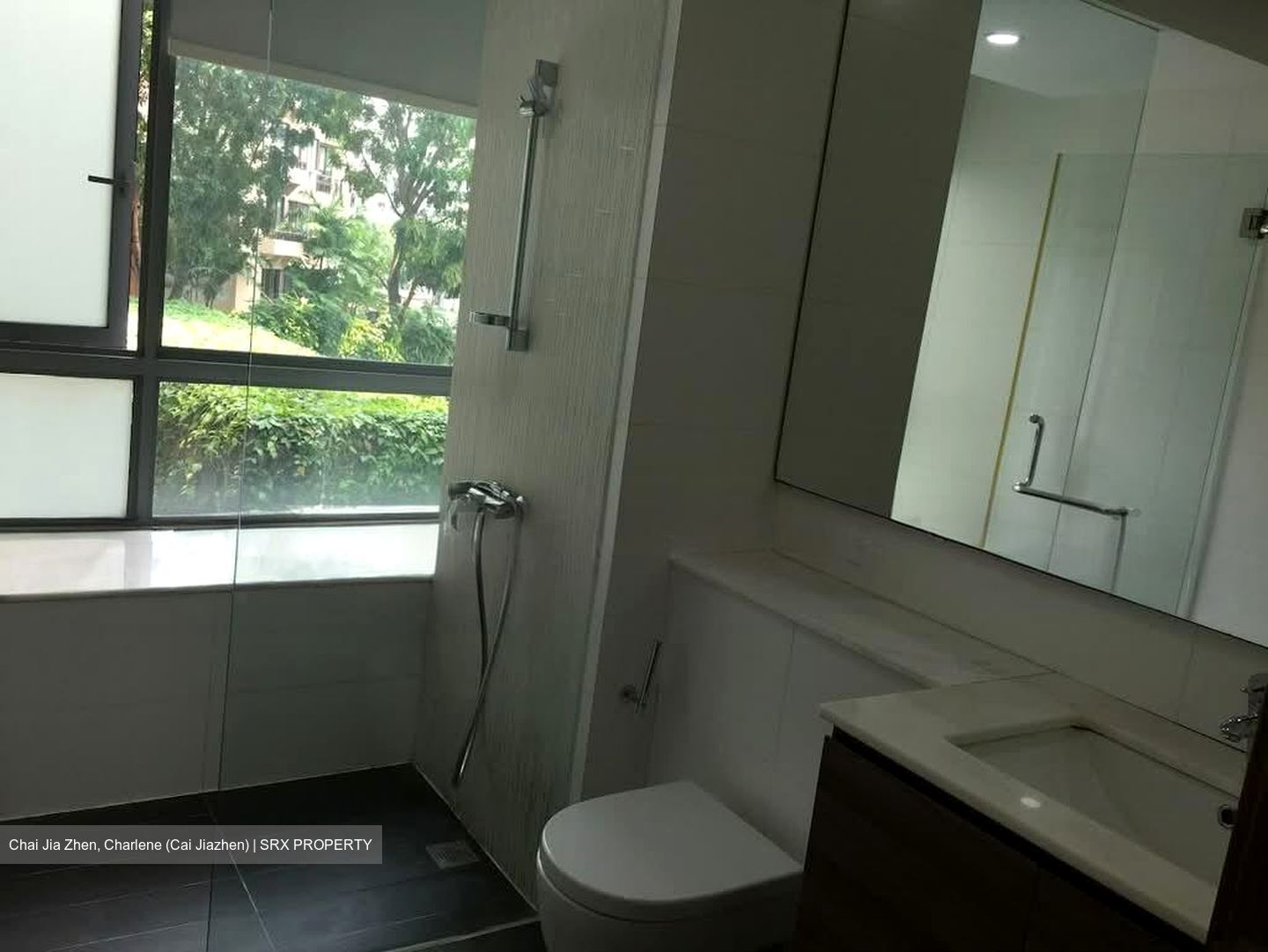 Double Bay Residences (D18), Condominium #602885971